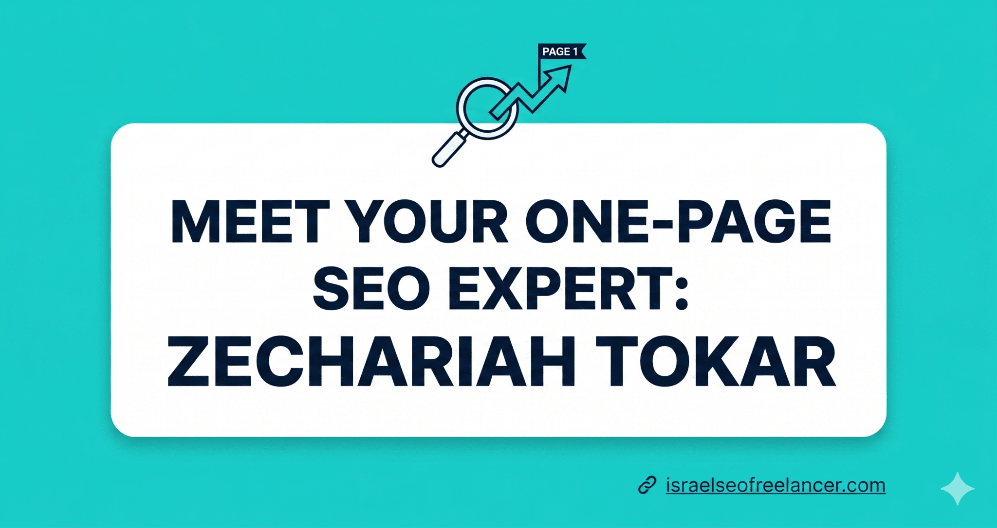 An SEO Specialist I Recommend for Optimizing a One Page Website